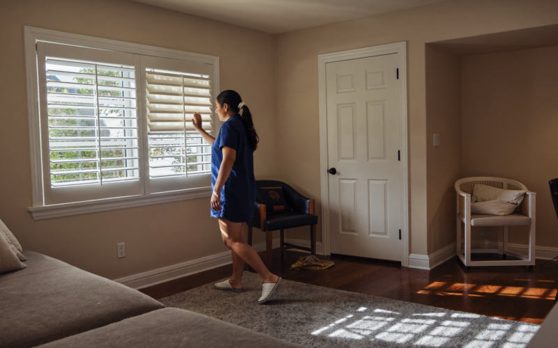 Consultant showing shutter and fabric samples during in-home window treatment consultations